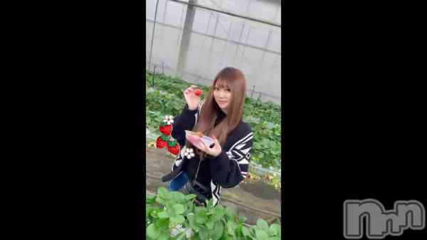 �ֹ����ʵ���🍓🐄��