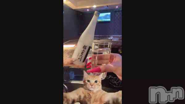 �ֿ夸��ʤ����