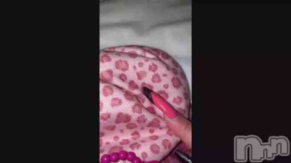 �֥ϥ���ƥ��襳��ʥΡ�