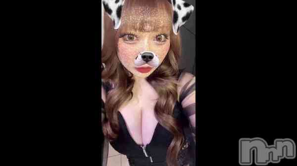 �ֽ�̲🧸��