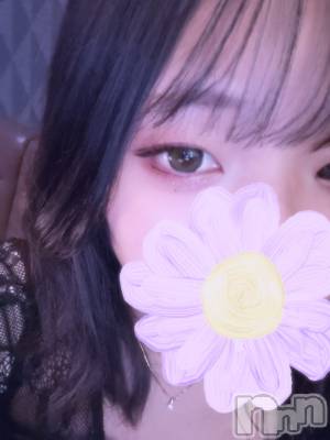 ��Į���ʥå��������륺�С�Lounge Lily(�饦�󥸥�꡼) �����12��28���̥�֥����֎��ю���