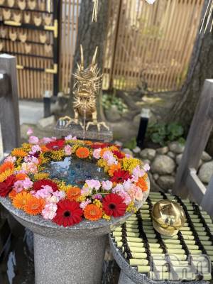 ��Į����Х��顦�����V-niigata-(�֥��˥�����) ��������4��30���̥�֥�����ή�Ԥ��❕��