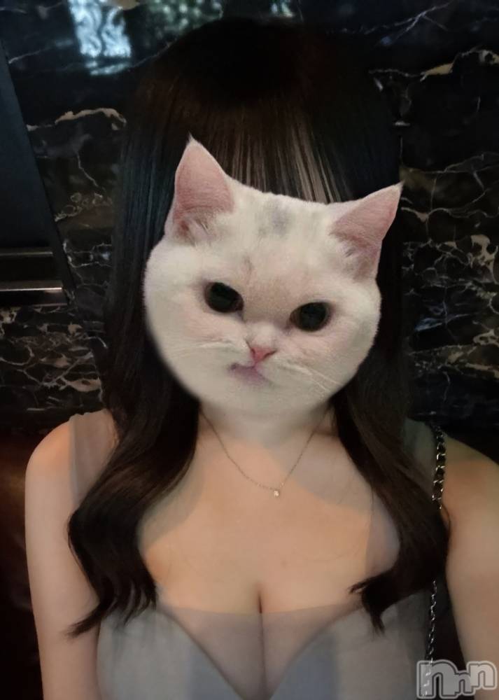 ƲХ顦CLUB FOUR GARDEN(֡եǥ) ʤ1110̥֥🐈‍⬛