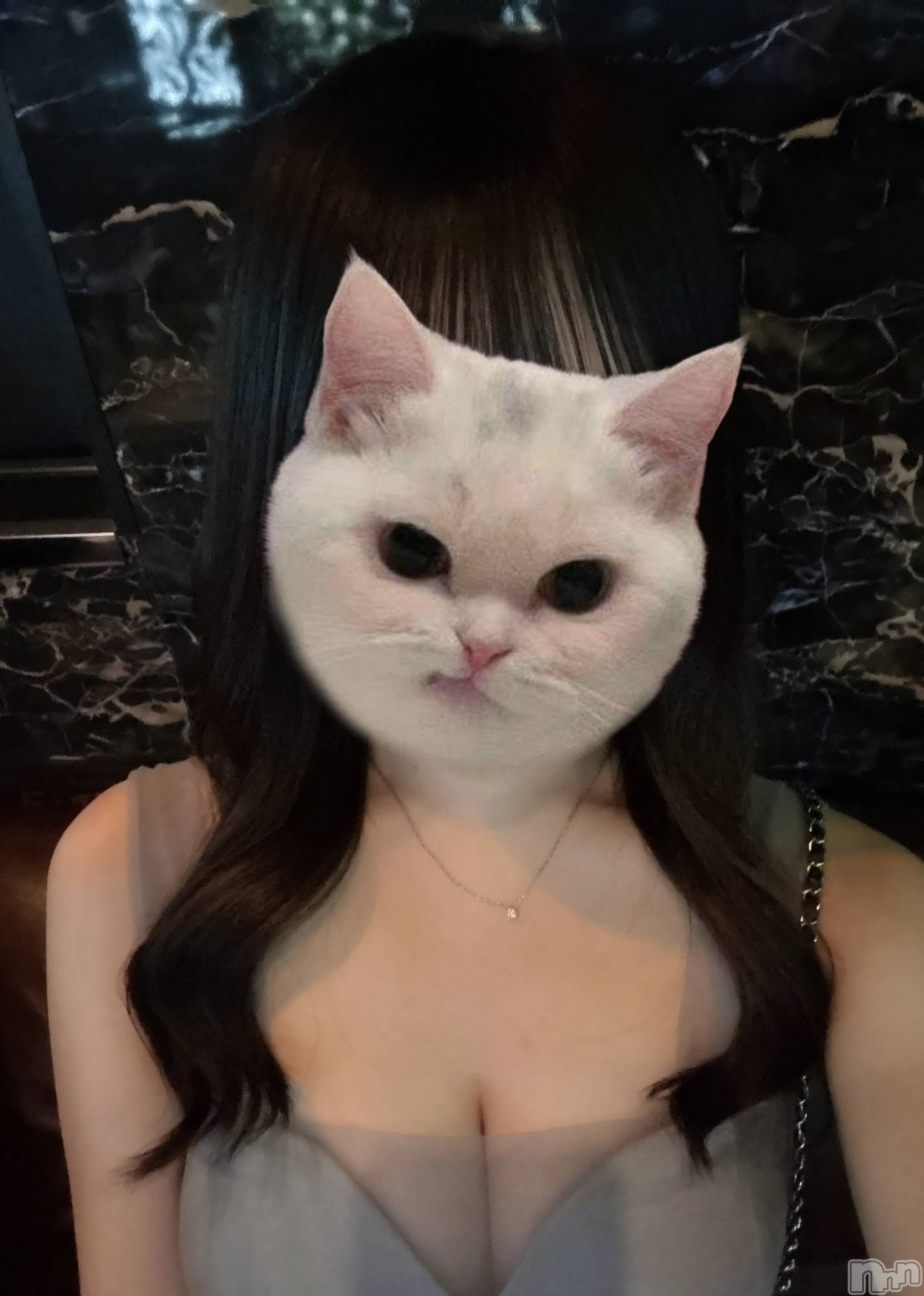 ƲХ顦CLUB FOUR GARDEN(֡եǥ) 2025ǯ1110̥֥🐈‍⬛