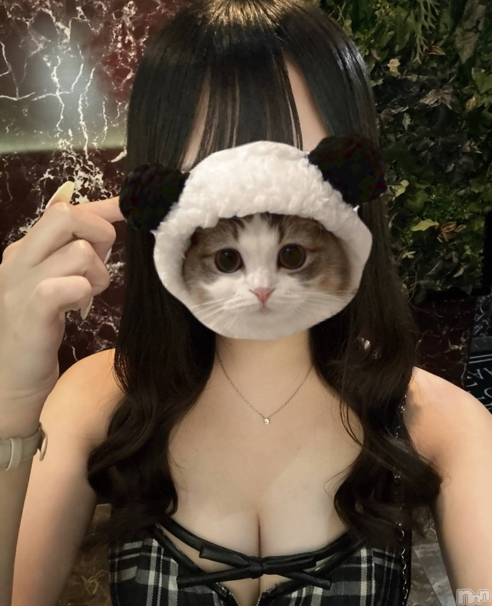 ƲХ顦CLUB FOUR GARDEN(֡եǥ) 2025ǯ1115̥֥♥