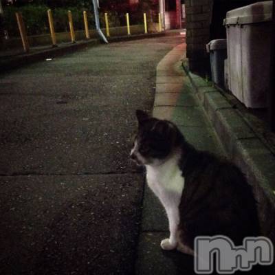 ƲХ顦CLUB FOUR GARDEN(֡եǥ) ʤ125̥֥12