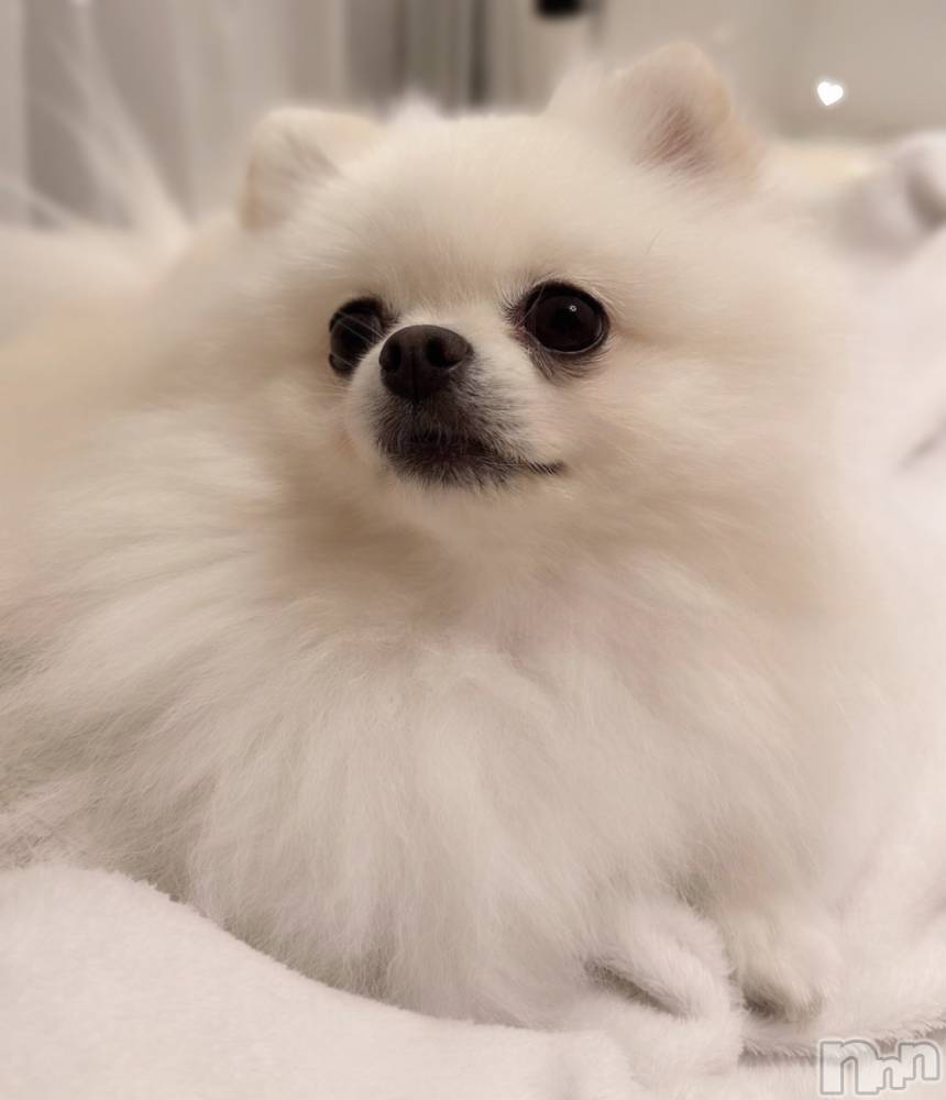 ��Ʋ����Х��顦�����CLUB FOUR GARDEN(����֡��ե��������ǥ�) ���ߤ�3��1���̥�֥�����♡��