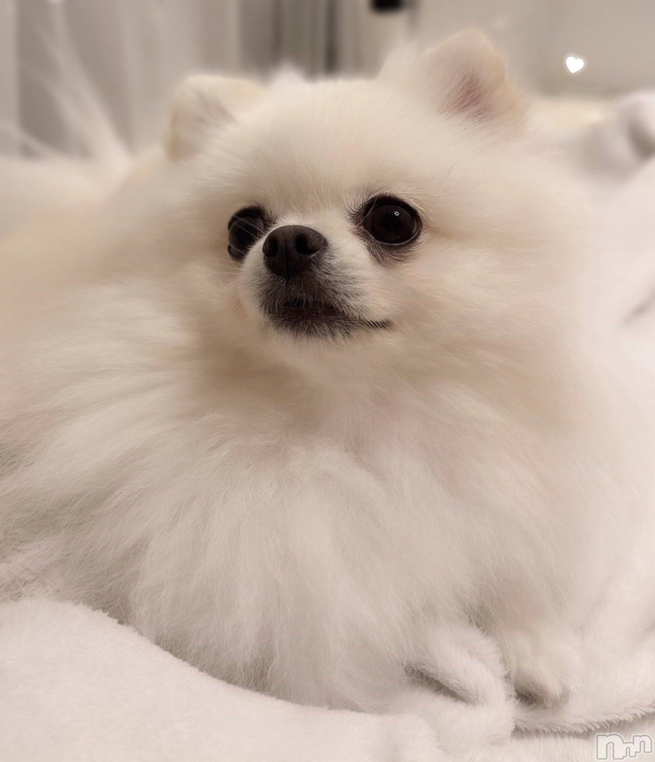 ��Ʋ����Х��顦�����CLUB FOUR GARDEN(����֡��ե��������ǥ�) ��2026ǯ3��1���̥�֥�����♡��