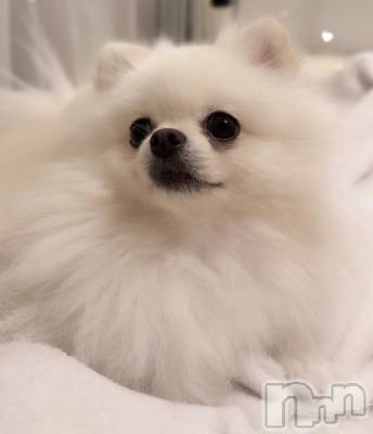 ��Ʋ����Х��顦�����CLUB FOUR GARDEN(����֡��ե��������ǥ�) ����(20)��3��1���̥�֥�����♡��