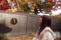 �����������������åȥС�BAR COCCOLE(�С����å���) �ʤߤ�12��21���̥�֥����ֲڤν�����