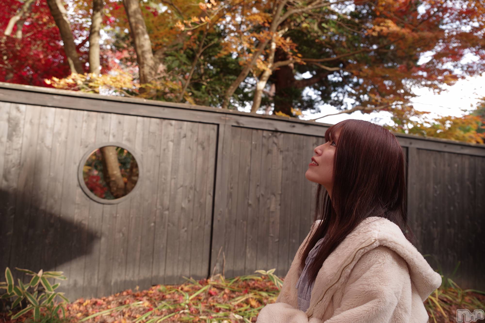 �����������������åȥС�BAR COCCOLE(�С����å���) ��2025ǯ12��21���̥�֥����ֲڤν�����