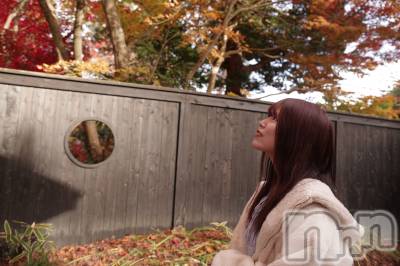 �����������������åȥС�BAR COCCOLE(�С����å���) �ʤߤ�12��21���̥�֥����ֲڤν�����