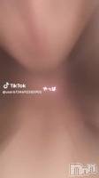 827 2024ʬư