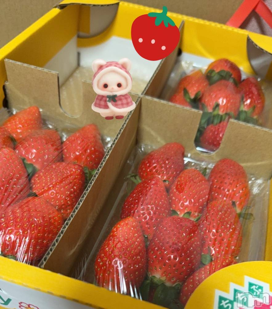 ��Į����Х��顦�����Lounge R Style(�饦�󥸥����륹������) ����1��9���̥�֥�����1��5��