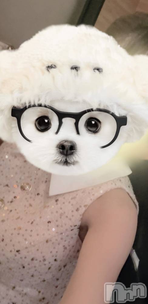 ��Į����Х��顦�����Lounge R Style(�饦�󥸥����륹������) ����1��10���̥�֥����֤���