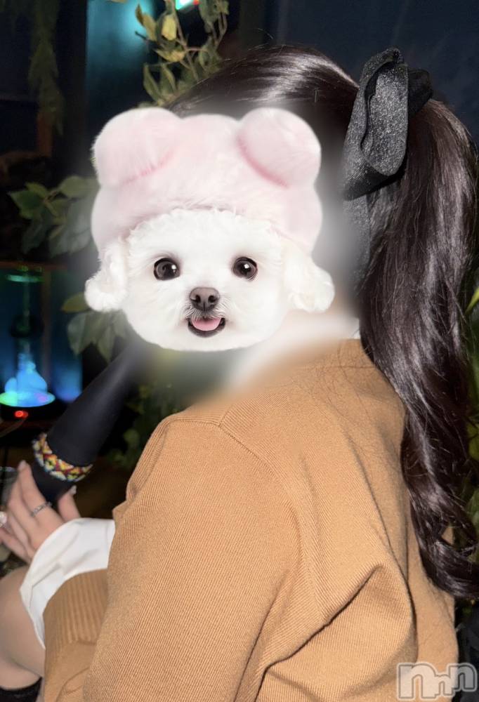 ��Į����Х��顦�����Lounge R Style(�饦�󥸥����륹������) ����1��14���̥�֥����֥�����