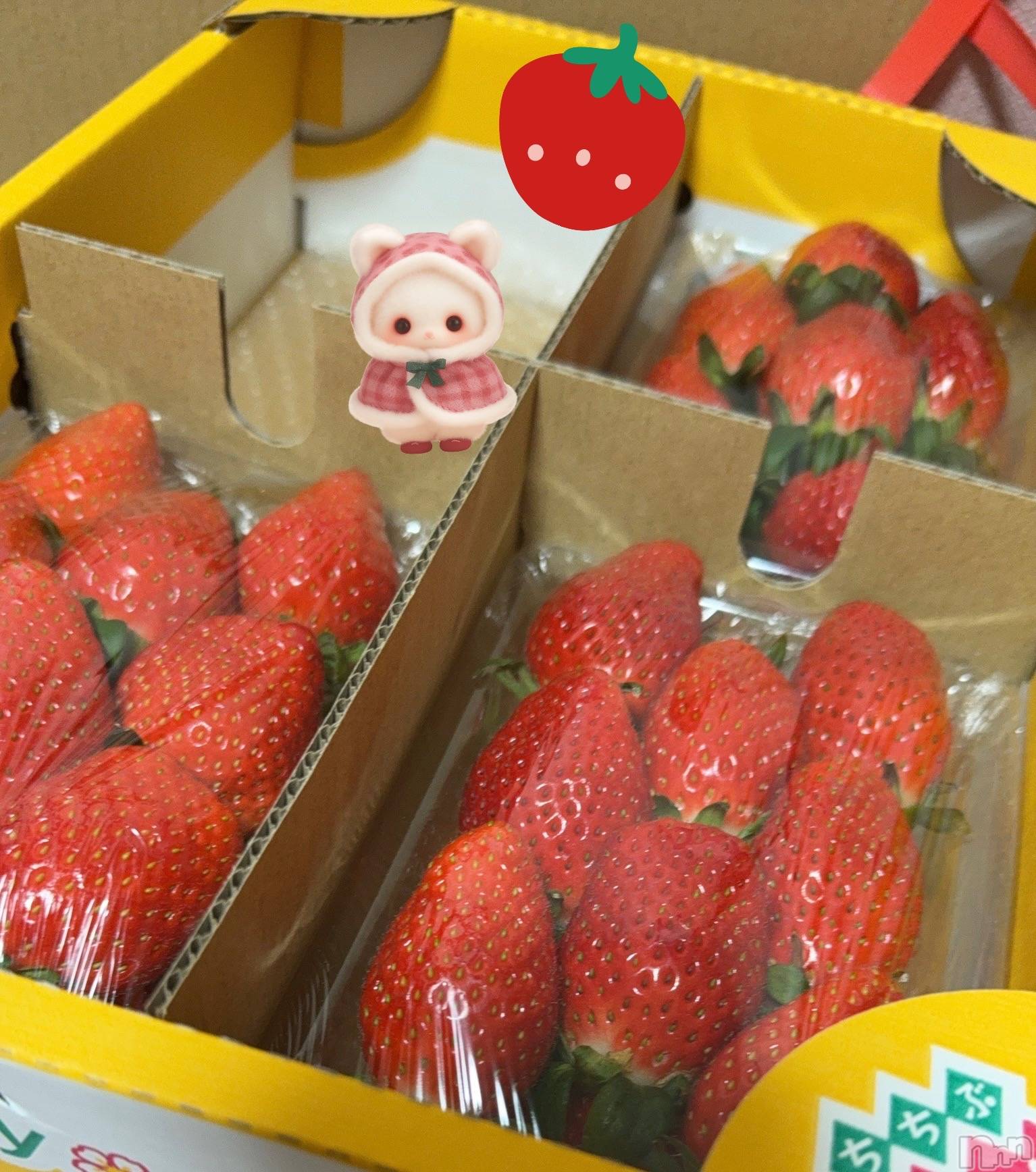 ��Į����Х��顦�����Lounge R Style(�饦�󥸥����륹������) ��2026ǯ1��9���̥�֥�����1��5��