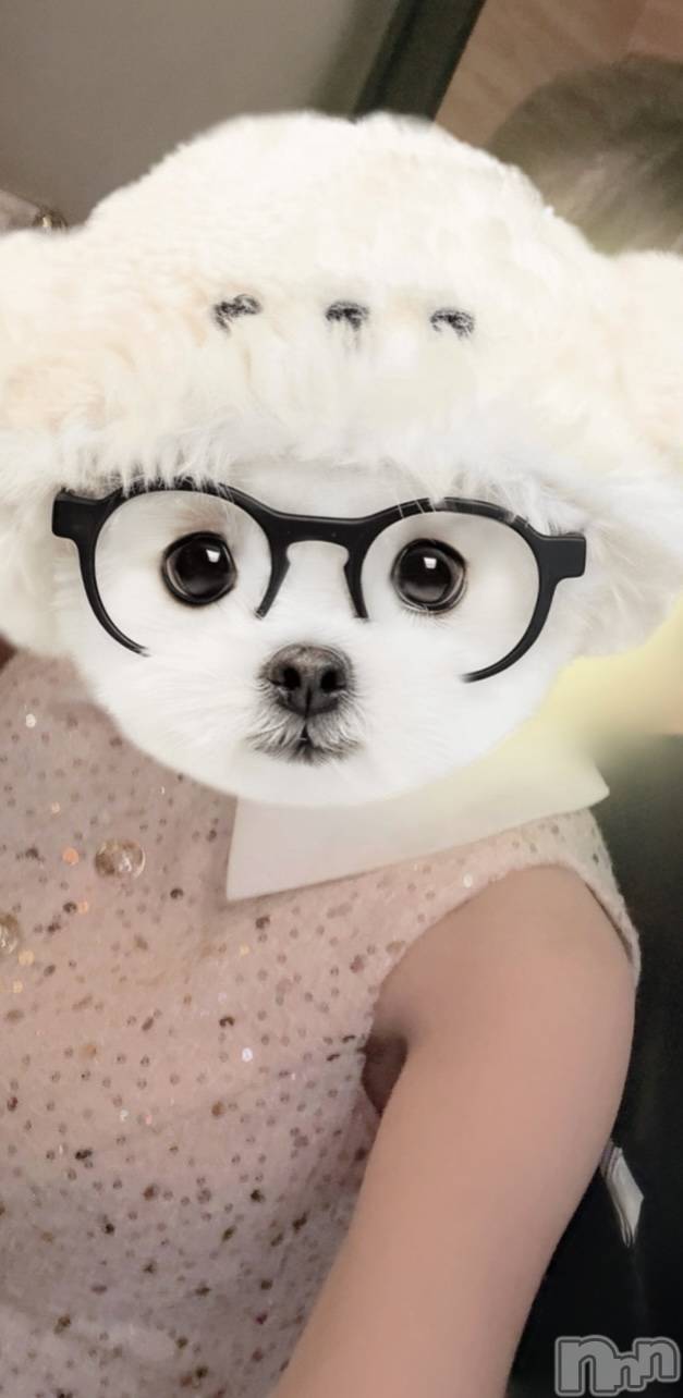 ��Į����Х��顦�����Lounge R Style(�饦�󥸥����륹������) ��2026ǯ1��10���̥�֥����֤���