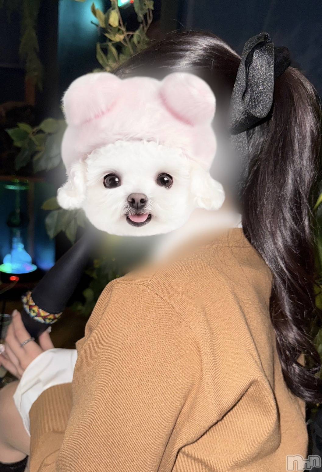 ��Į����Х��顦�����Lounge R Style(�饦�󥸥����륹������) ��2026ǯ1��14���̥�֥����֥�����