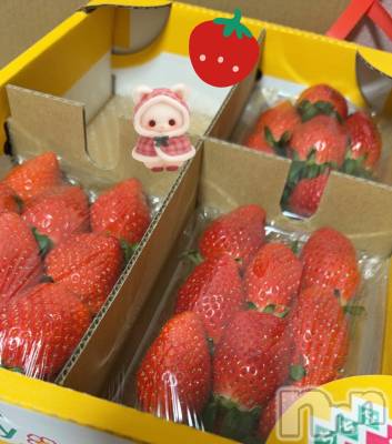 ��Į����Х��顦�����Lounge R Style(�饦�󥸥����륹������) ����1��9���̥�֥�����1��5��