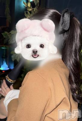 ��Į����Х��顦�����Lounge R Style(�饦�󥸥����륹������) ����1��14���̥�֥����֥�����