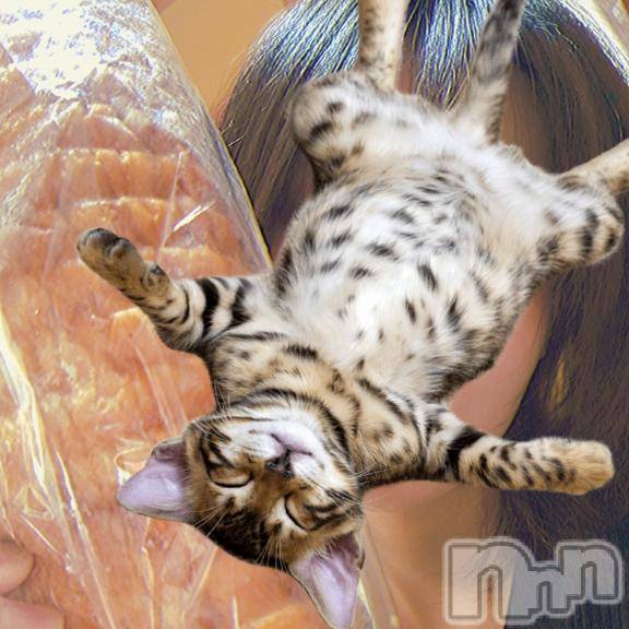 長岡デリヘルBIANCA～主人の知らない私～長岡店(ビアンカナガオカテン)中村　はる(28)の2026年1月7日写メブログ「お礼の気持ちなどなど」