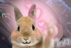 長岡デリヘルBIANCA～主人の知らない私～長岡店(ビアンカナガオカテン) 中村　はる(28)の1月14日写メブログ「お礼の気持ちです🙂‍↕️」