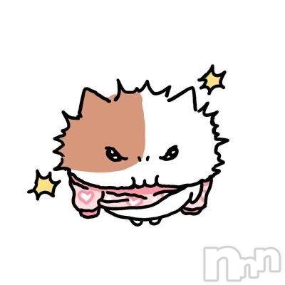 新潟ソープ新潟バニーコレクション(ニイガタバニーコレクション) レア(23)の2月6日写メブログ「💌2/4.5」