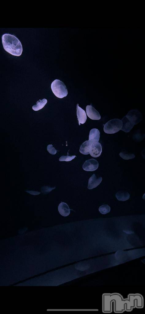 新潟ソープ新潟バニーコレクション(ニイガタバニーコレクション)レア(23)の2025年11月9日写メブログ「ありがとまる」