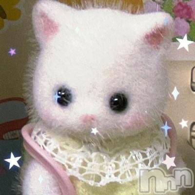 新潟ソープ新潟バニーコレクション(ニイガタバニーコレクション)レア(23)の2026年2月22日写メブログ「ない…」