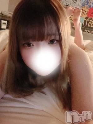 明日9時から&#x1F430;