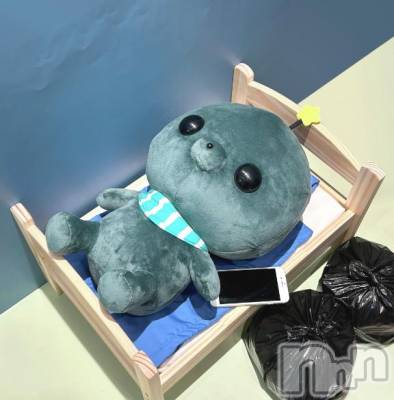 新潟ソープ 新潟バニーコレクション(ニイガタバニーコレクション) レア(23)の11月4日写メブログ「誠にすみません」