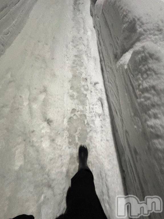 長岡デリヘルBIANCA～主人の知らない私～長岡店(ビアンカナガオカテン) 白咲　えま(33)の1月30日写メブログ「そろそろ光合成したい…」