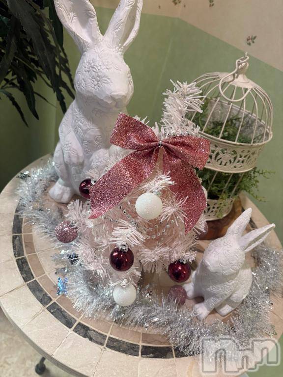 長岡デリヘルBIANCA～主人の知らない私～長岡店(ビアンカナガオカテン)白咲　えま(33)の2025年12月5日写メブログ「(´；ω；｀)」