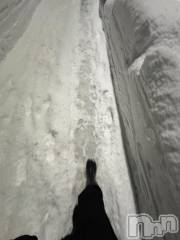 長岡デリヘルBIANCA～主人の知らない私～長岡店(ビアンカナガオカテン) 白咲　えま(33)の1月30日写メブログ「そろそろ光合成したい…」