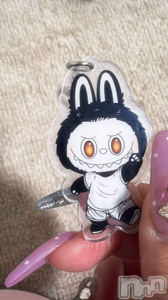 ܱХ顦CLUB FOUR LEAF(ե꡼) ʤ115ֺ̥֥ŹǤ⭐️