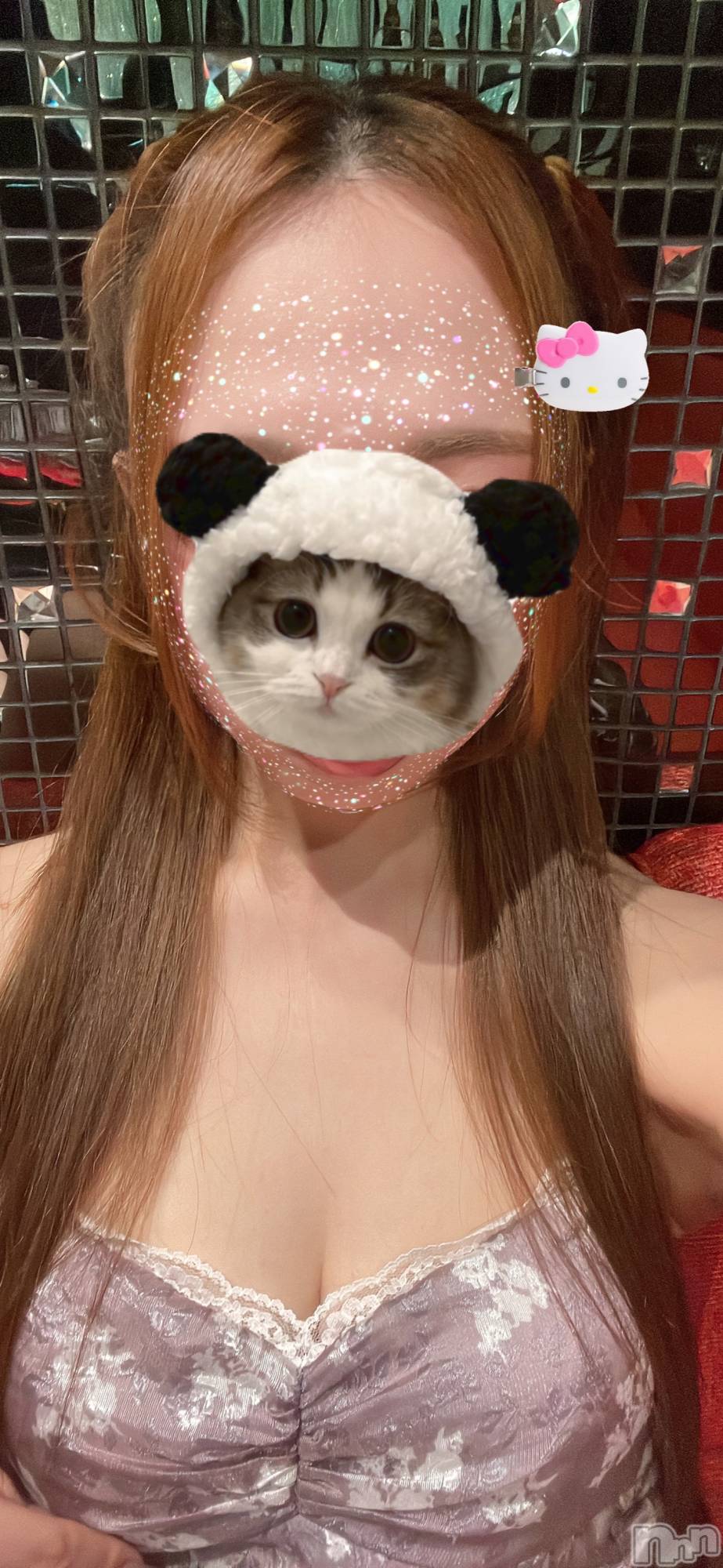 ܱХ顦Club (֥ʥǥ) 2025ǯ106̥֥🐼🐈🐾