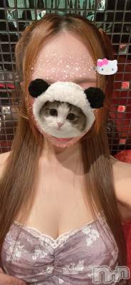 ܱХ顦Club (֥ʥǥ) Ĥ106̥֥🐼🐈🐾