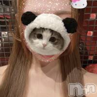 つき さんのプロフィール画像