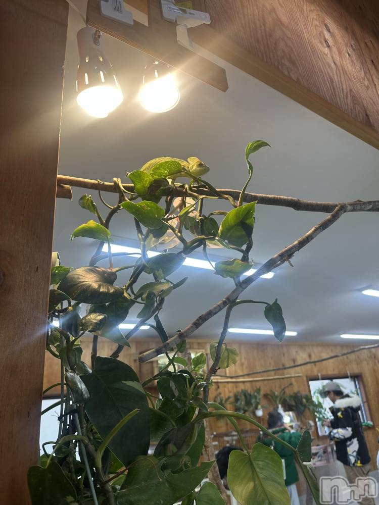 ƲХ顦clubTiara(ƥ) ͤͤ1123̥֥1123 2111ʬΥ֥