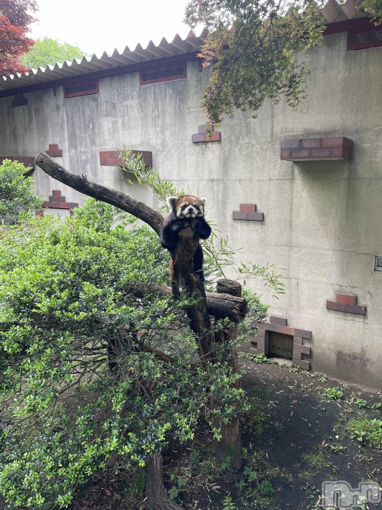 ��Ʋ����Х��顦�����clubTiara(�ƥ�����) �ͤͤ�3��20���̥�֥�����3��20�� 21��49ʬ�Υ֥�����