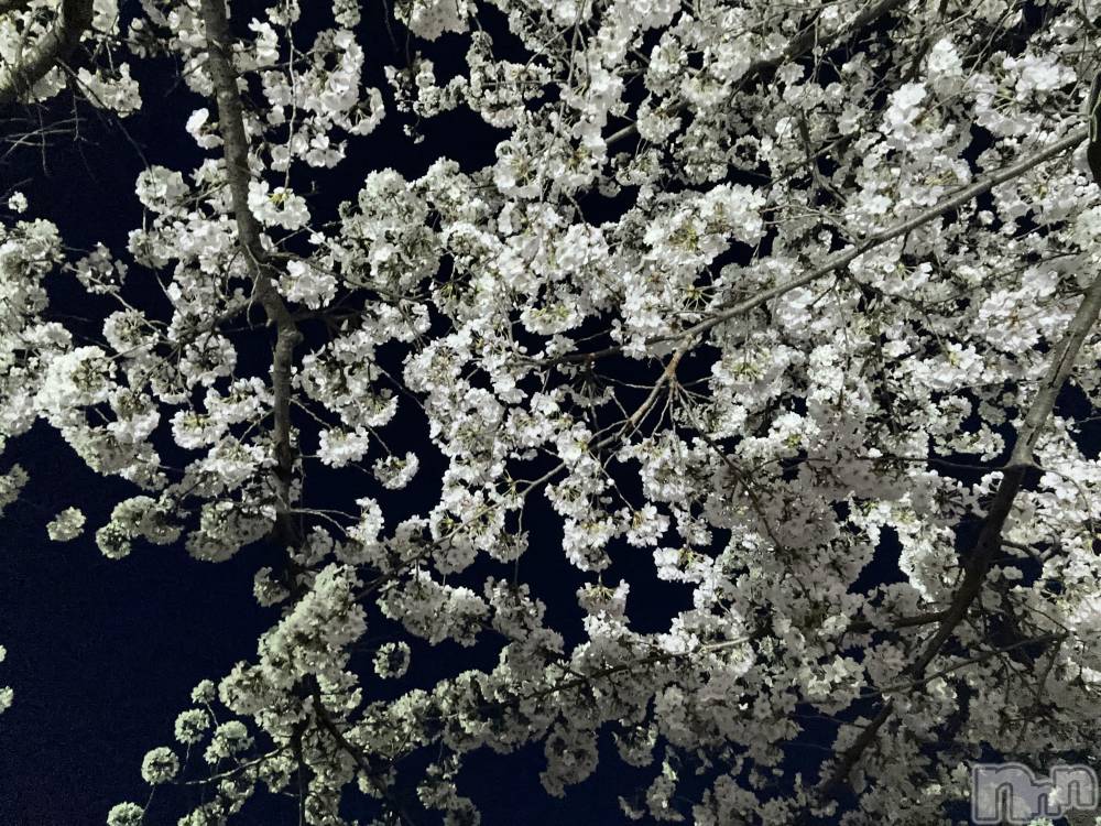 ��Ʋ����Х��顦�����clubTiara(�ƥ�����) �ͤͤ�4��22���̥�֥�����4��22�� 21��42ʬ�Υ֥�����