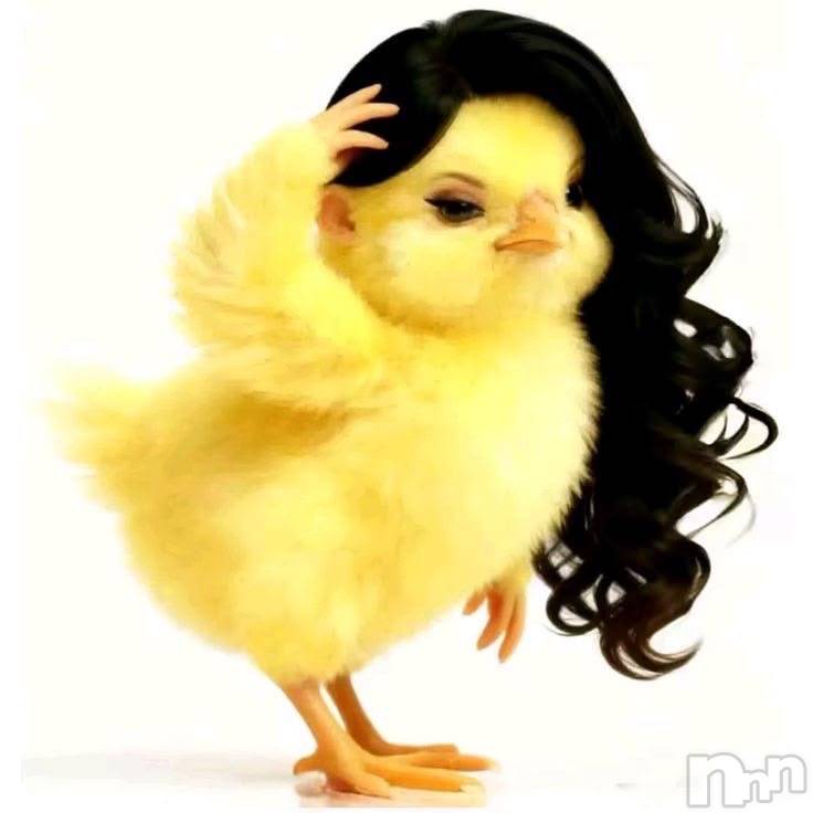 ��Ʋ����Х��顦�����clubTiara(�ƥ�����) �ͤͤ�10��17���̥�֥�����🐥⸒⸒��