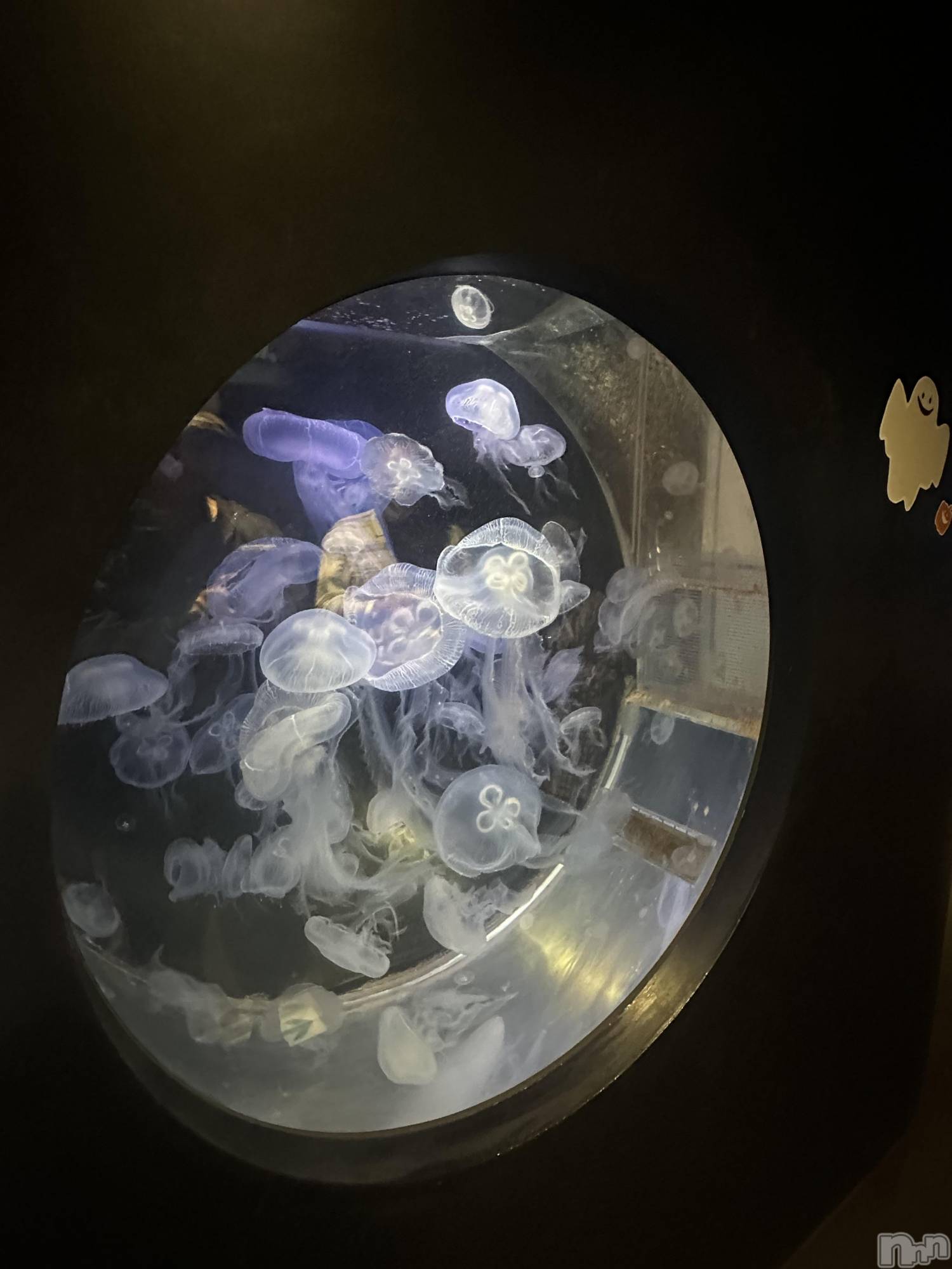 ƲХ顦clubTiara(ƥ) 2025ǯ1027̥֥🩵