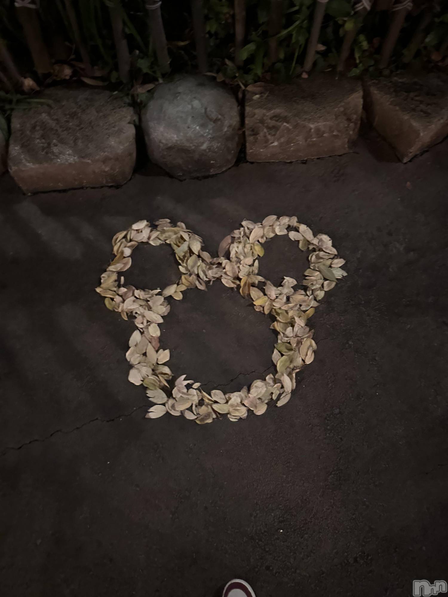 ƲХ顦clubTiara(ƥ) 2025ǯ1122̥֥1122 2141ʬΥ֥