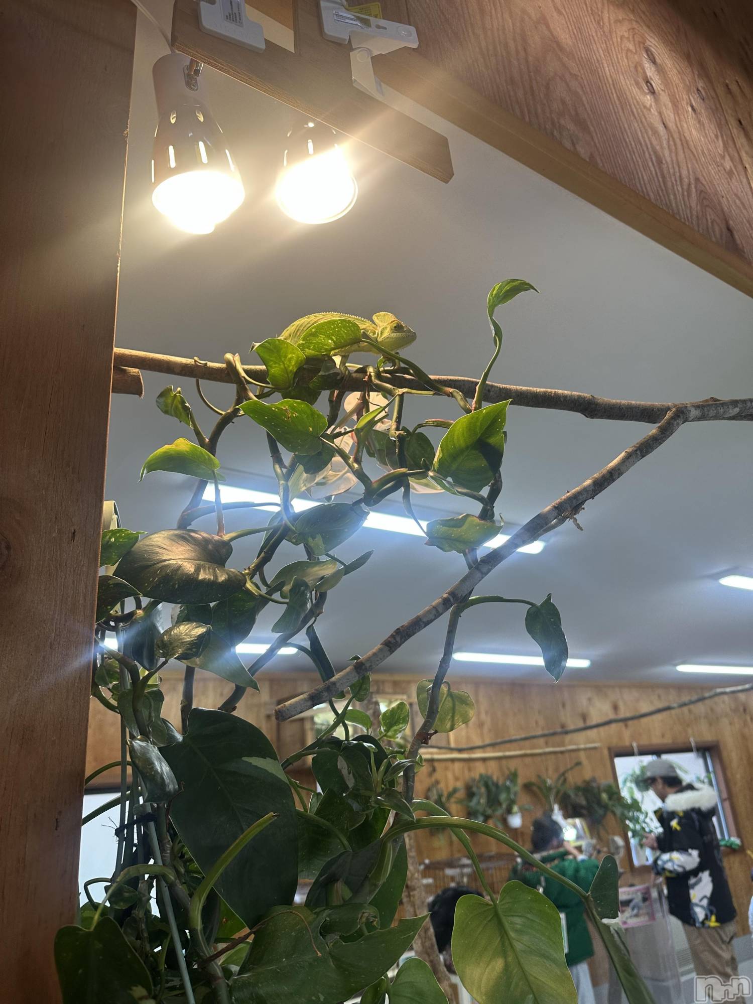 ƲХ顦clubTiara(ƥ) 2025ǯ1123̥֥1123 2111ʬΥ֥