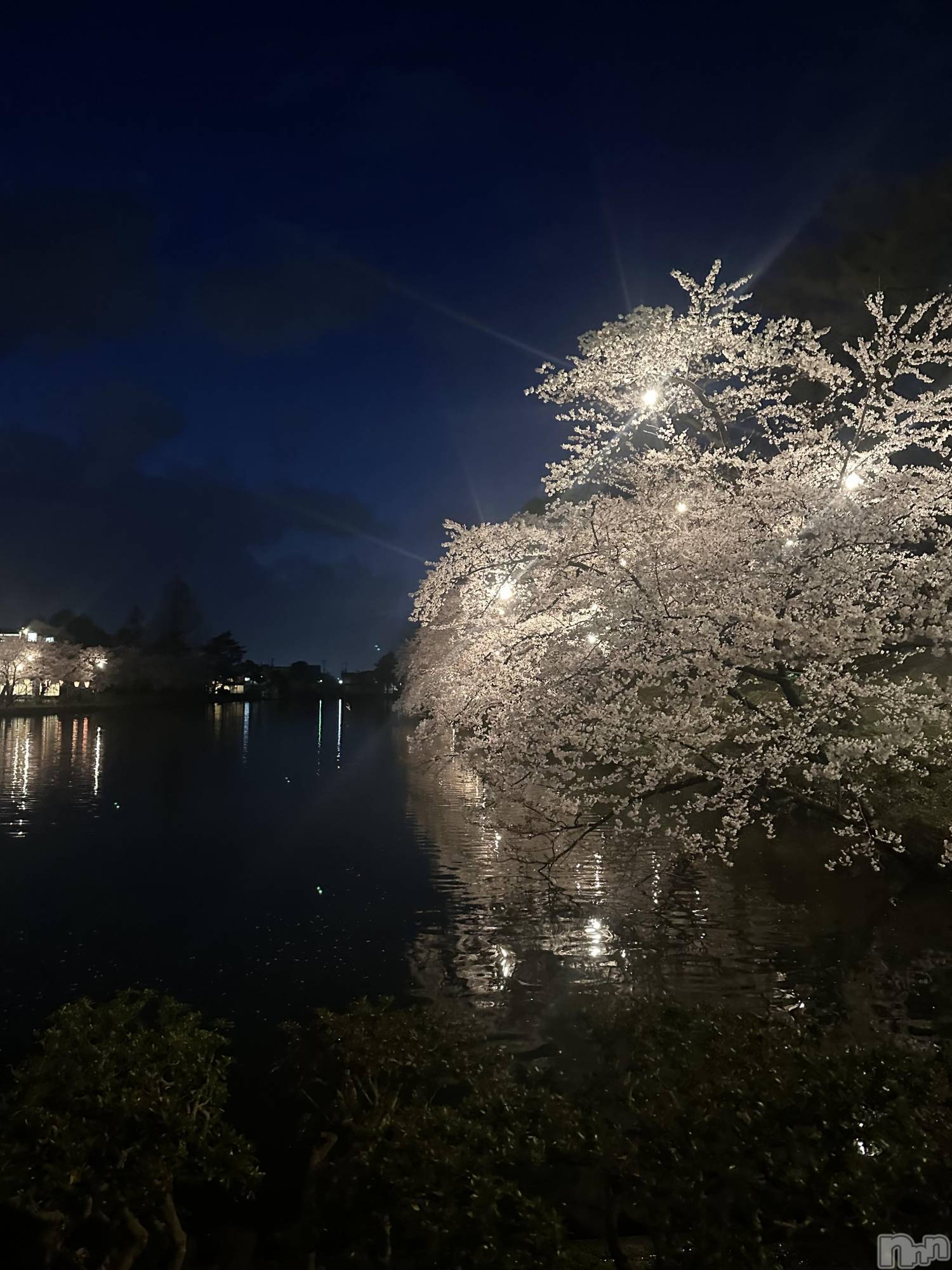 ��Ʋ����Х��顦�����clubTiara(�ƥ�����) ��2026ǯ4��11���̥�֥�����4��11�� 21��06ʬ�Υ֥�����