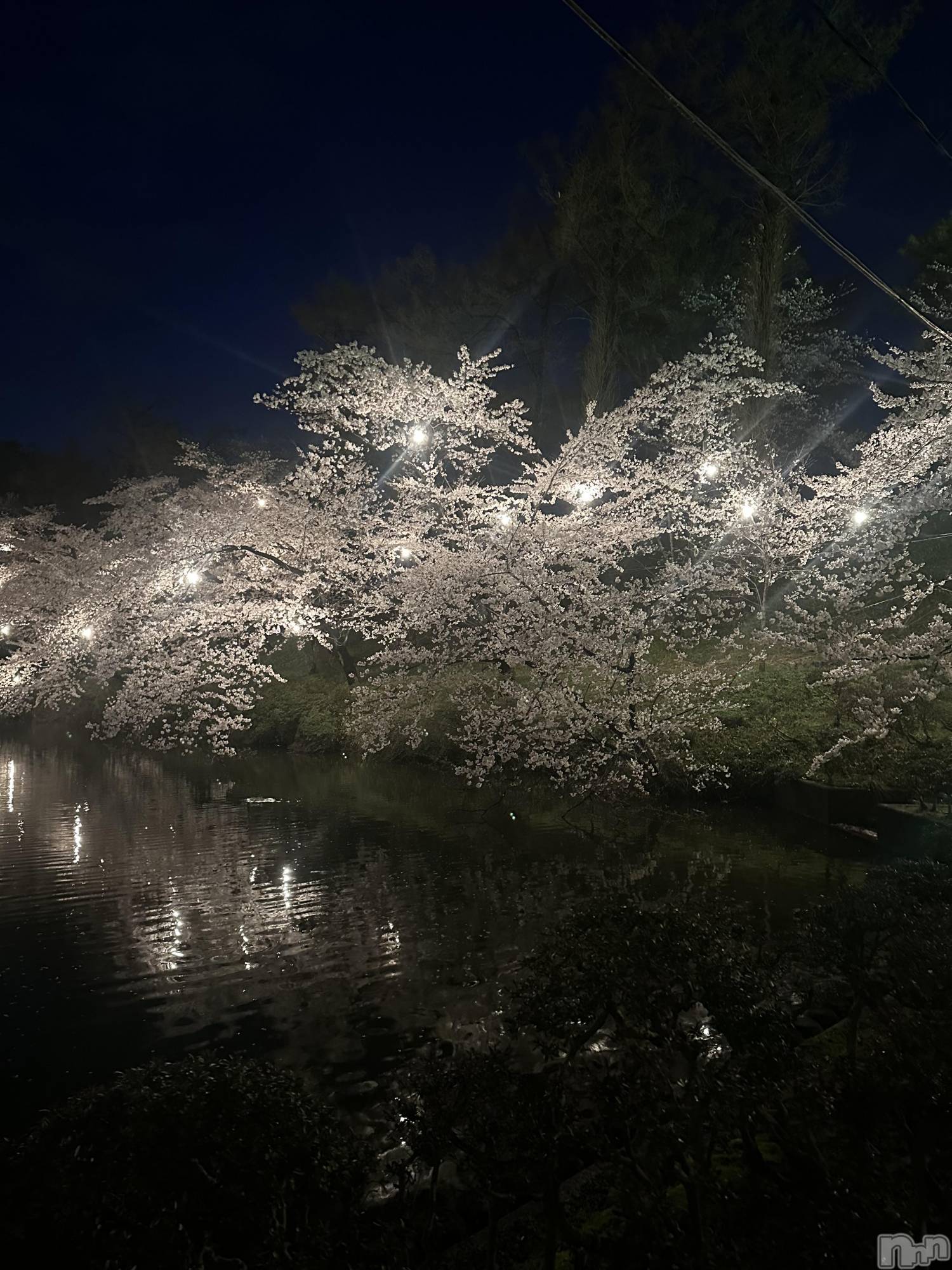 ��Ʋ����Х��顦�����clubTiara(�ƥ�����) ��2026ǯ4��16���̥�֥�����4��16�� 21��24ʬ�Υ֥�����