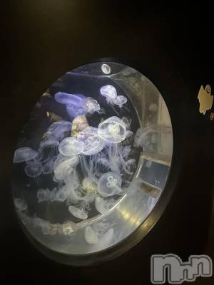 ƲХ顦clubTiara(ƥ) ͤͤ1027̥֥🩵