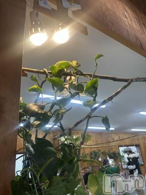 ƲХ顦clubTiara(ƥ) ͤͤ1123̥֥1123 2111ʬΥ֥